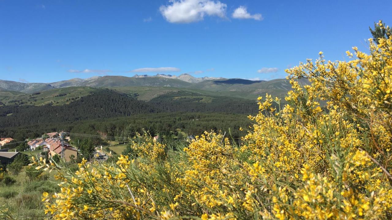 Cara Norte De Gredos Hoyos del Espino Exteriér fotografie