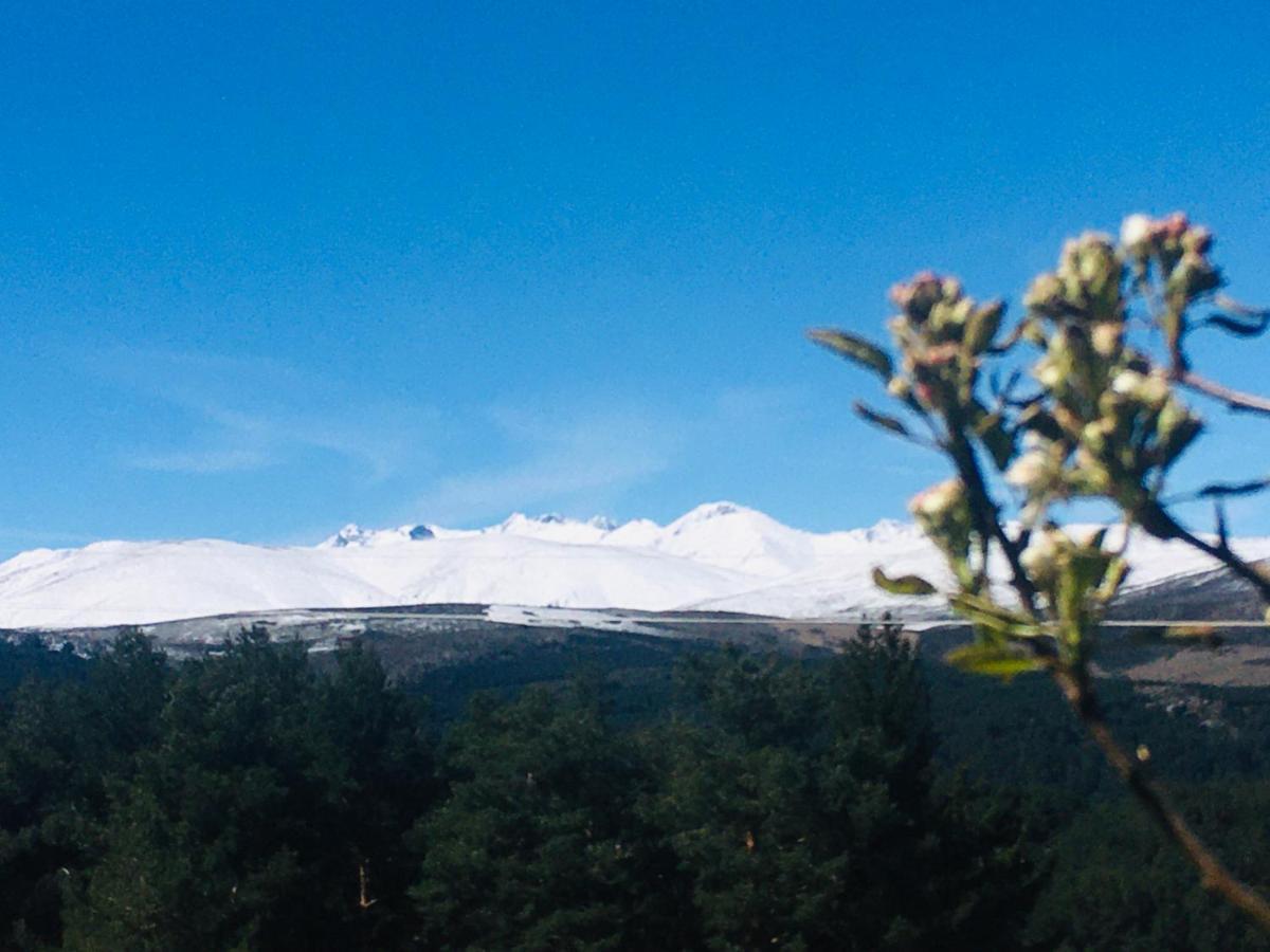 Cara Norte De Gredos Hoyos del Espino Exteriér fotografie